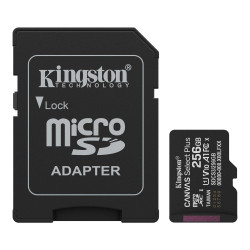 Kingston Canvas Select Plus 256 Go – Carte microSD UHS-I